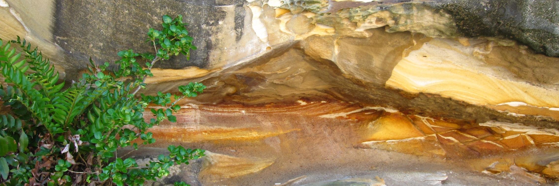 Justin Kitagawa 🌊 banner