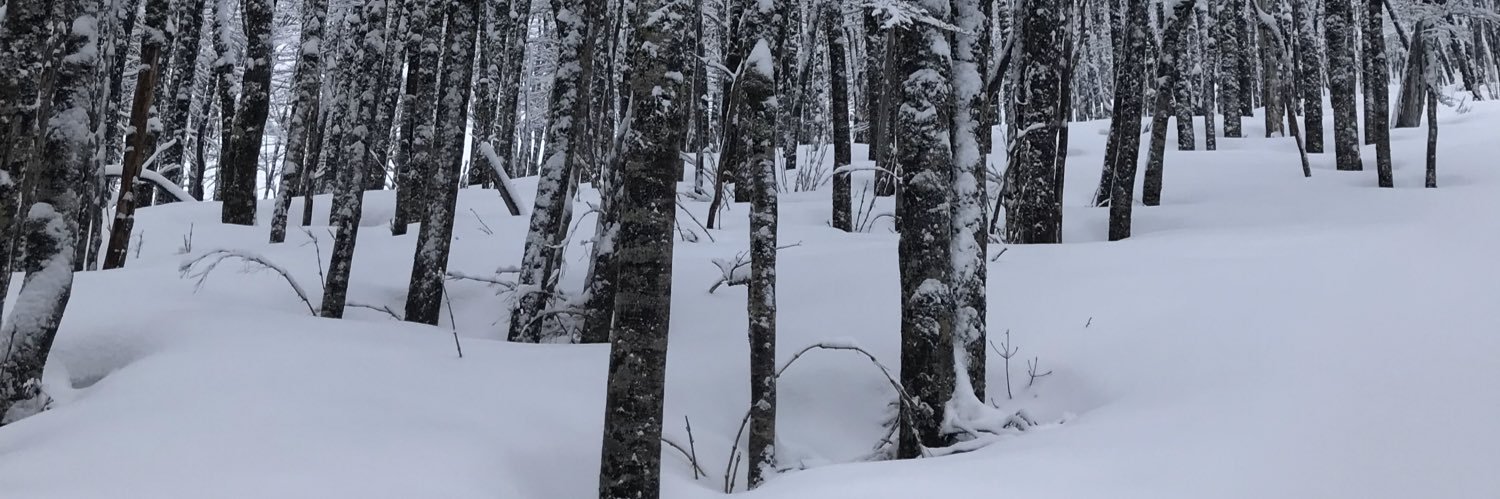 WestendarpM's profile banner image