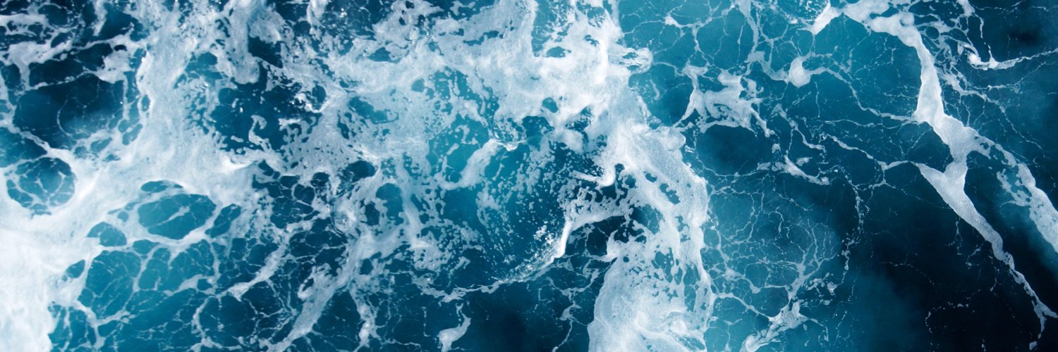 Пані сінабончик banner