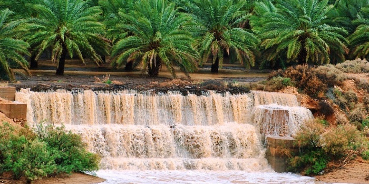 مشرع الغامدي ابو مشعل banner
