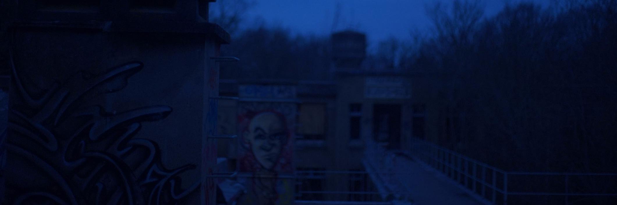 xharlynelson's profile banner image