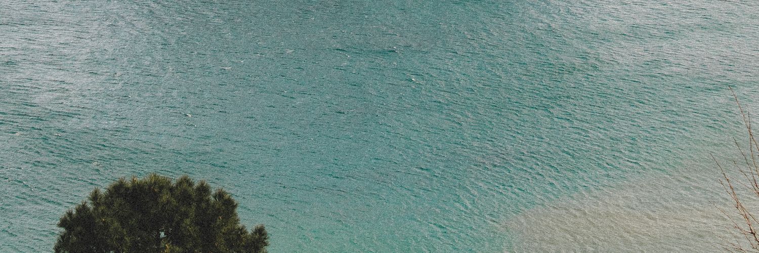 kitty galore - traxedia.bsky.social banner