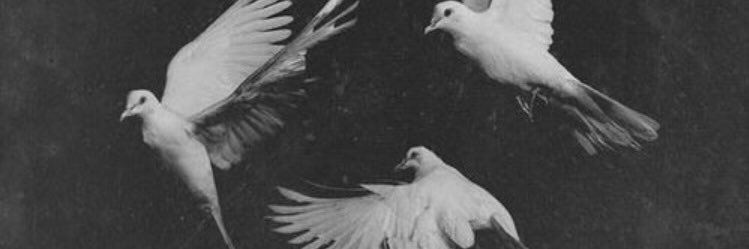 josephbrvy's profile banner image