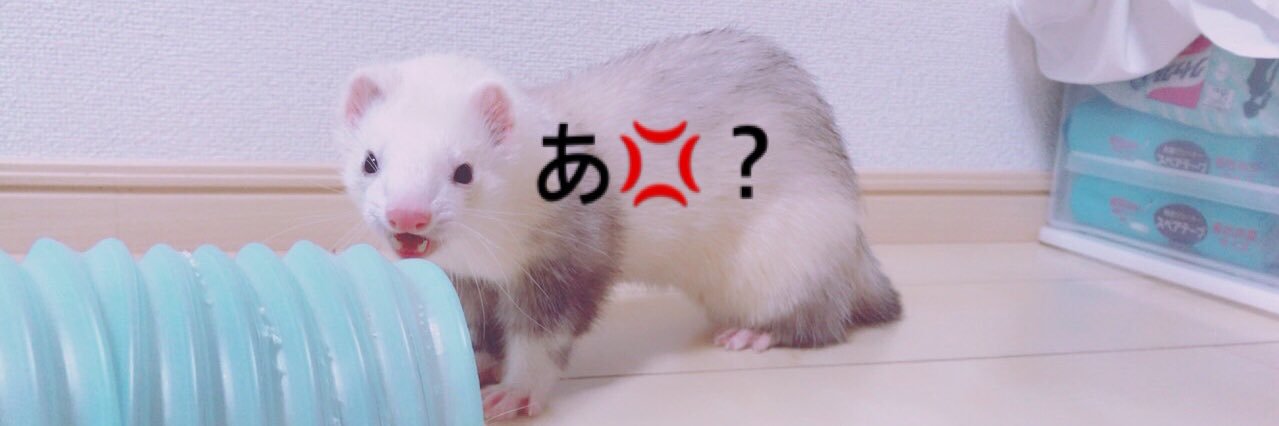 ゆうきっき banner