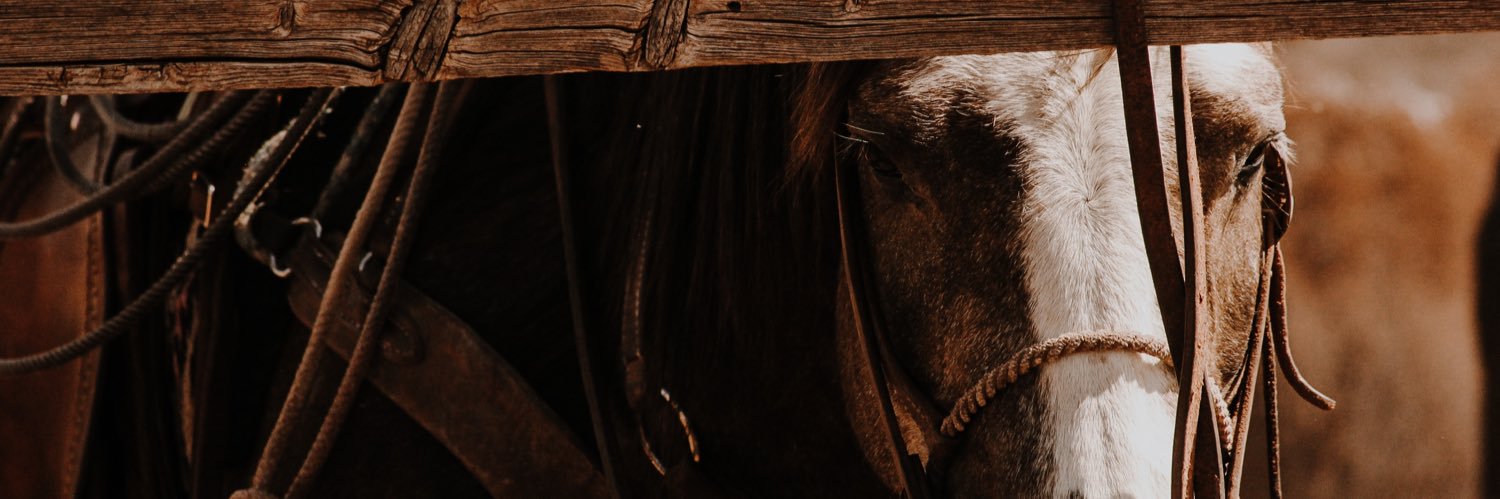 hann_long11's profile banner image