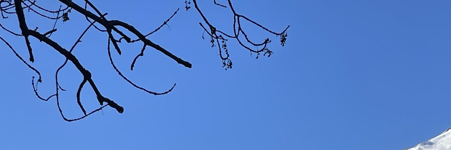 MariehSend's profile banner image