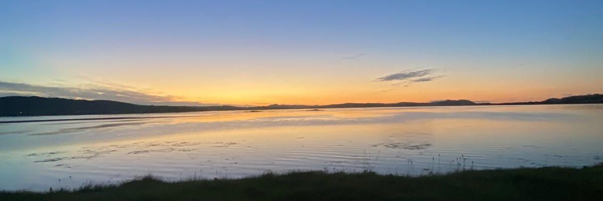 Ursula Mc Collum banner