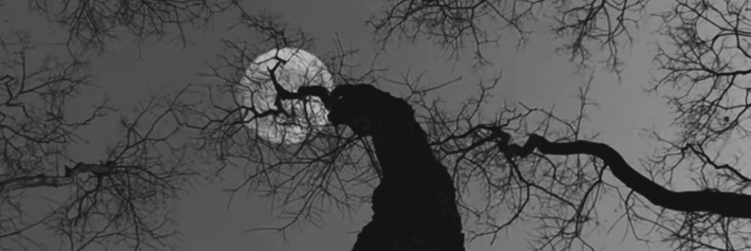naberiac's profile banner image