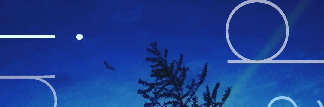 free_cube_cj's profile banner image