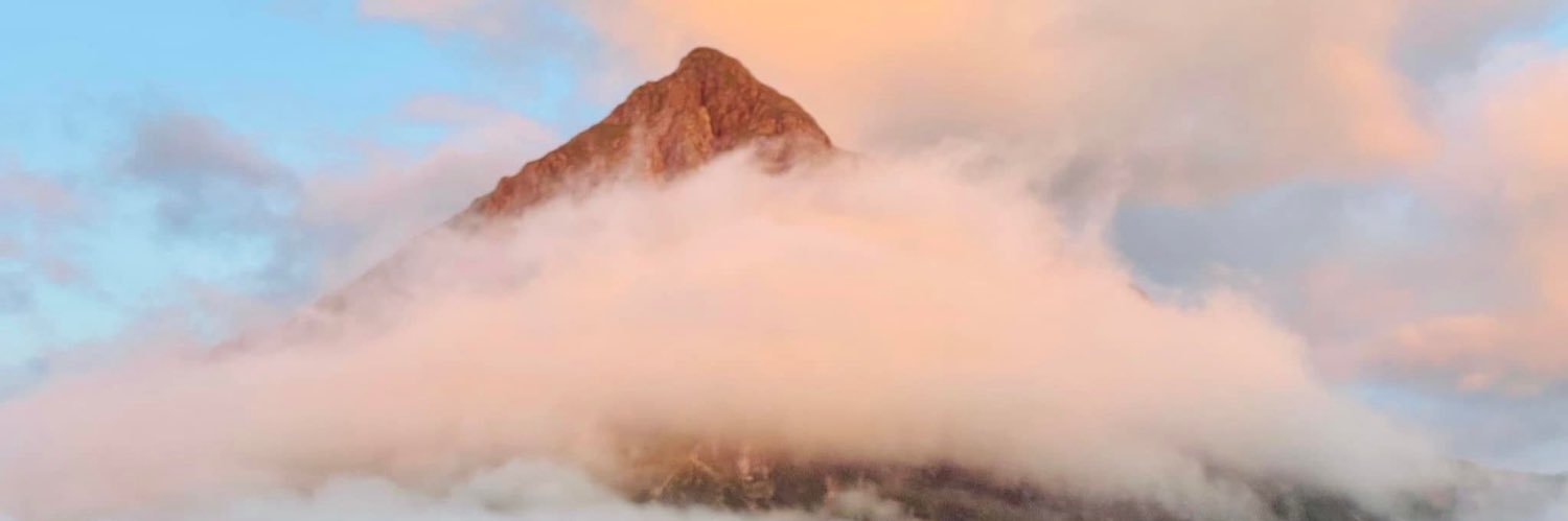 Prof Peter Barlow banner