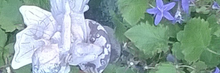 Fiona Smith banner
