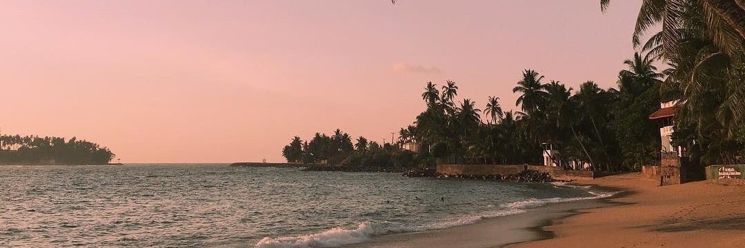 Kamiii_Attento's profile banner image