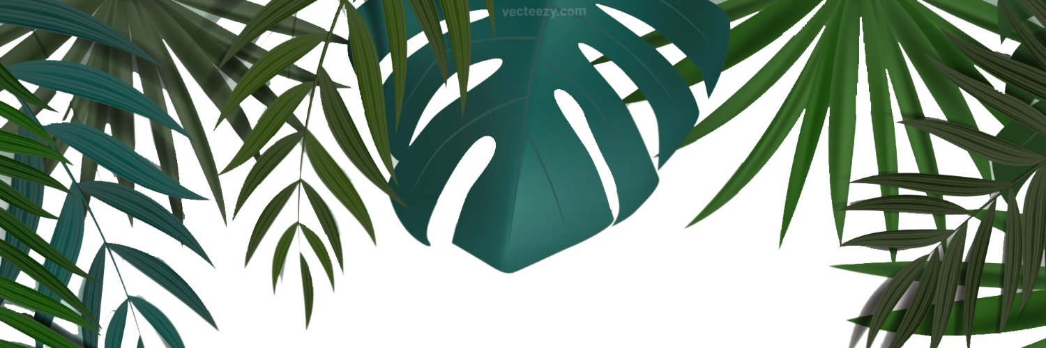 UlirRifky's profile banner image