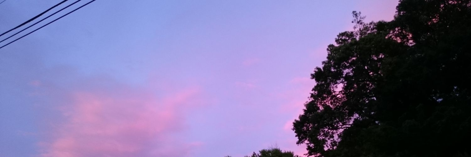 ricco0o0's profile banner image