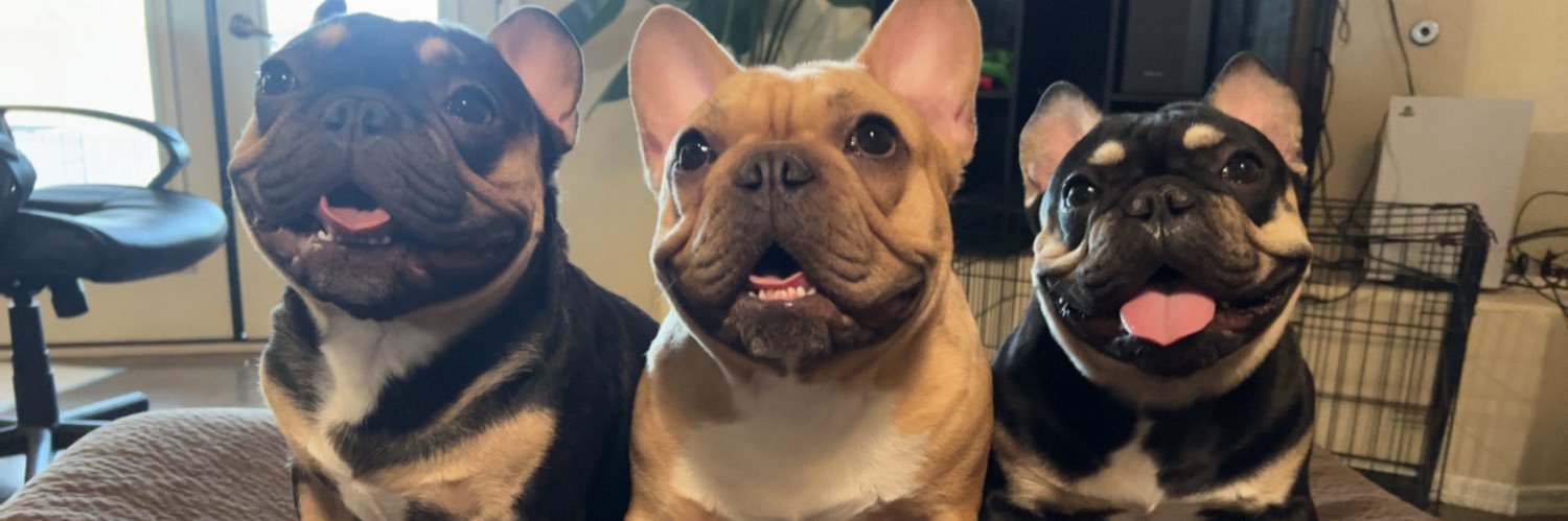CamVolk's profile banner image