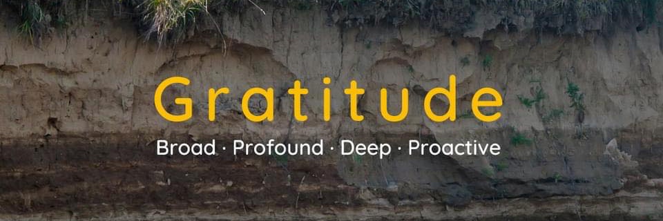 Gratitude Initiative banner