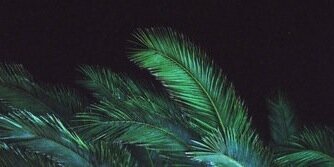 bieberxsmiler's profile banner image