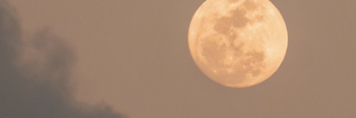 lorenacxavier's profile banner image