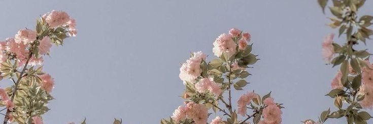 irepm13's profile banner image