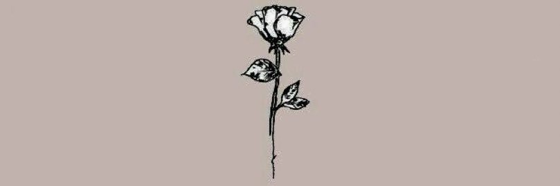 brehoyle's profile banner image