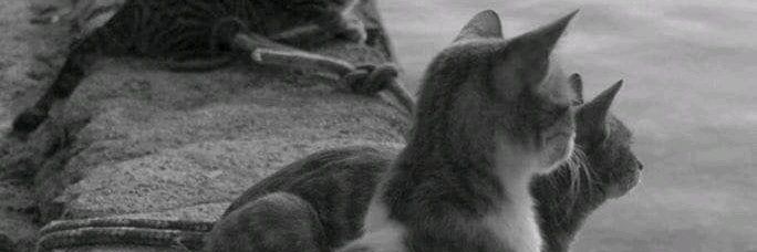 H_rn_n's profile banner image