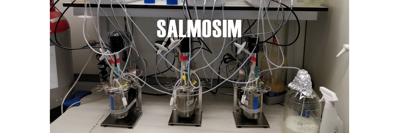SalmoSim banner