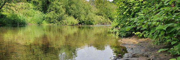 BroadhurstHolly Profile Banner