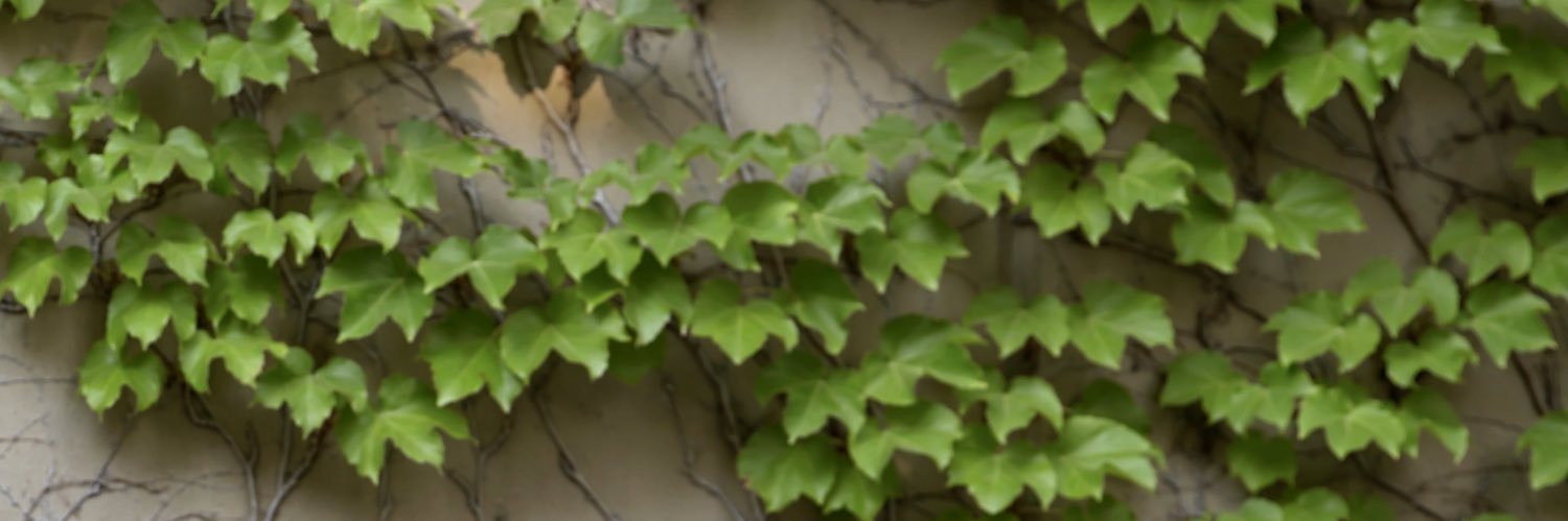 JayBiernaskie's profile banner image