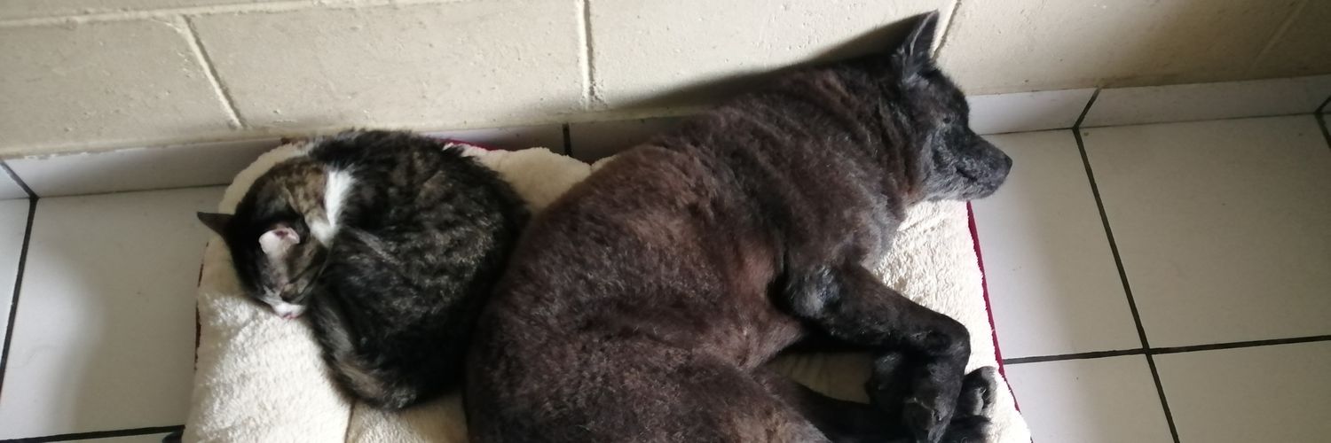 Ingrid Ortega banner