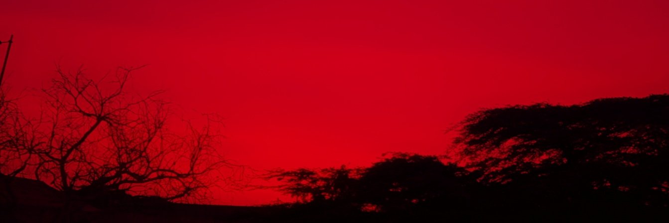 EmeliElizabeth's profile banner image