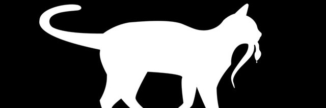 HSXNC's profile banner image