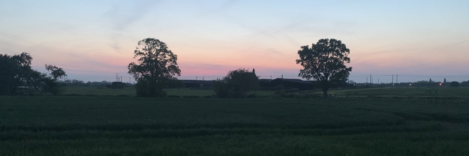 WelzyRL's profile banner image