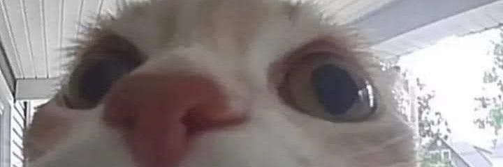 nacho_ecs's profile banner image