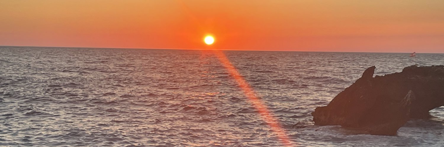 Abbas Daher عباس ضاهر banner