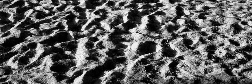 oliveoluremi's profile banner image