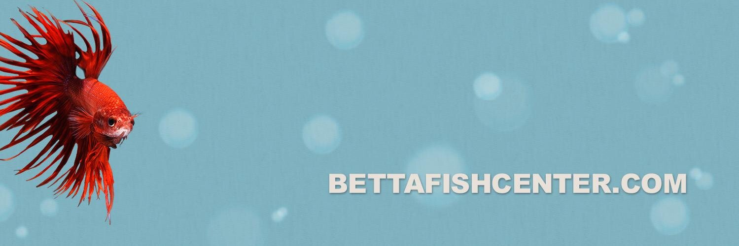 BettaFishCenter's profile banner image