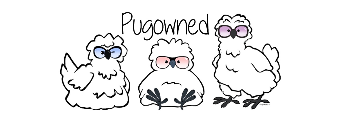 PugOwned Plays's banner