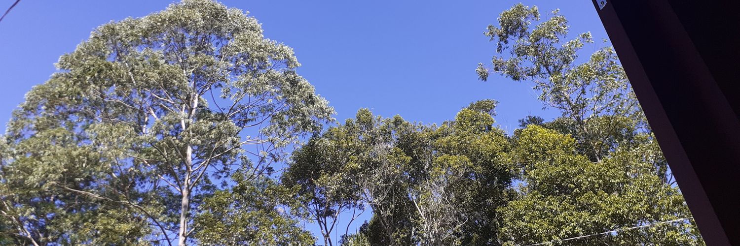 fenands's profile banner image
