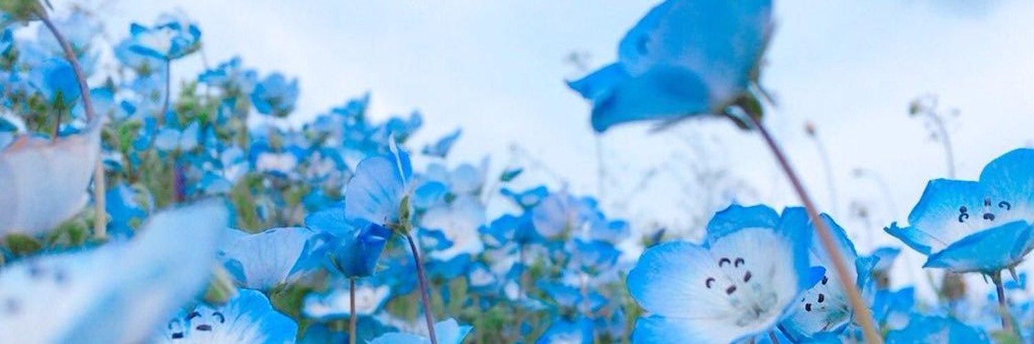gena banner