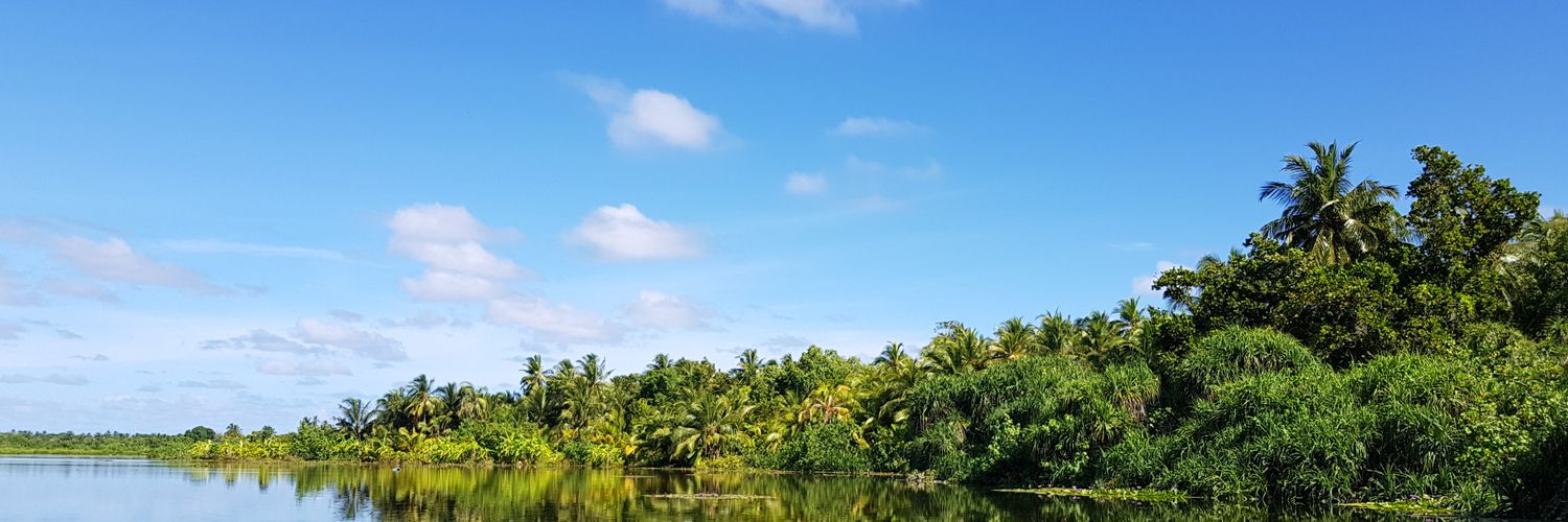 rayanmv's profile banner image