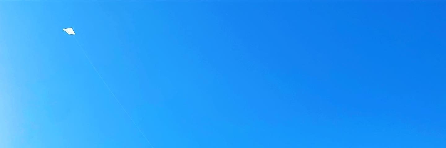 高橋忠郎 @ パワーソリューションズ（4450）代表 banner