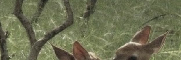 _mSuil_'s profile banner image