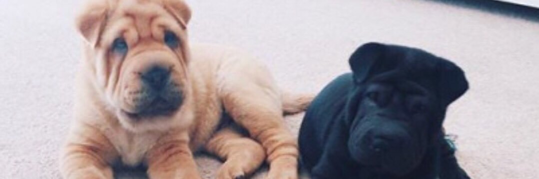 DahProsper's profile banner image