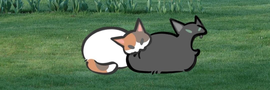 Jessyymb's profile banner image