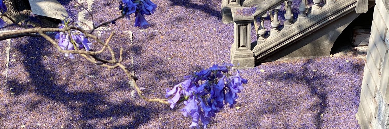 MomisGL's profile banner image
