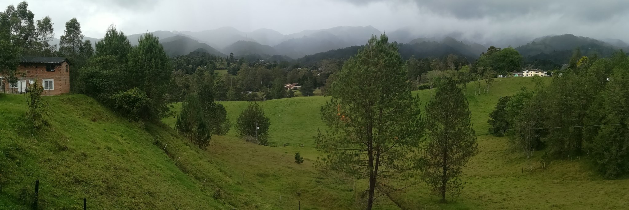 Bruno Mejia banner