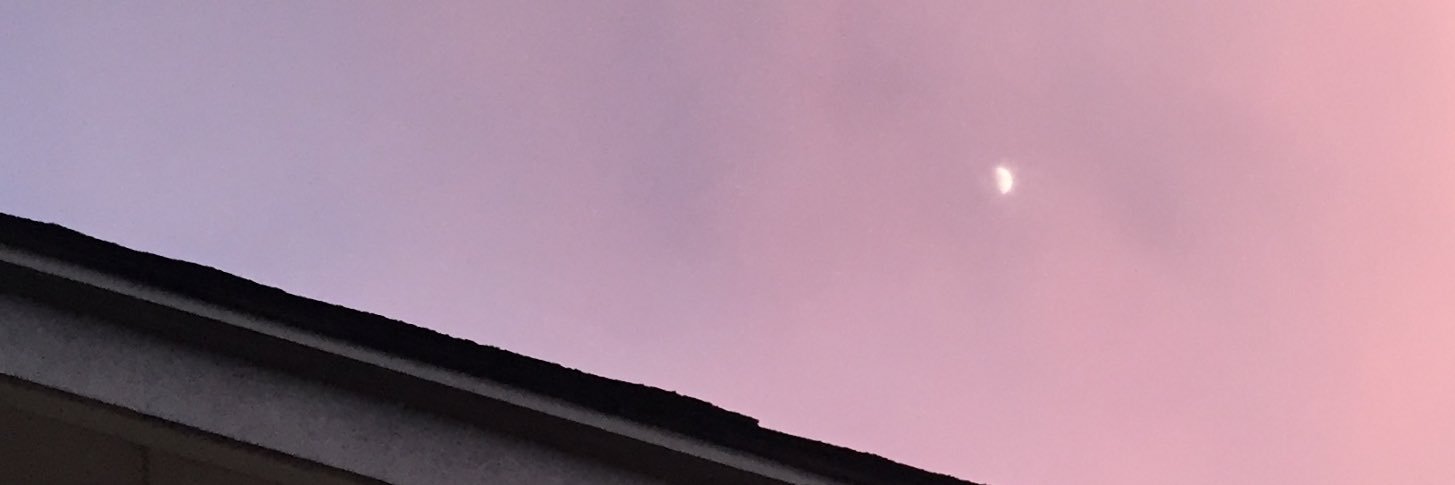 blushinggrl's profile banner image