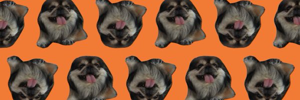 ssalbob Profile Banner