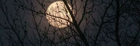 Here07 banner