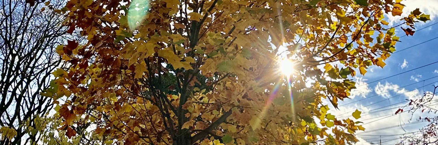 Twillyon's profile banner image